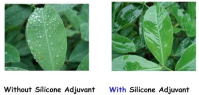 Silicone_Penetrant_With_&_Without_Image