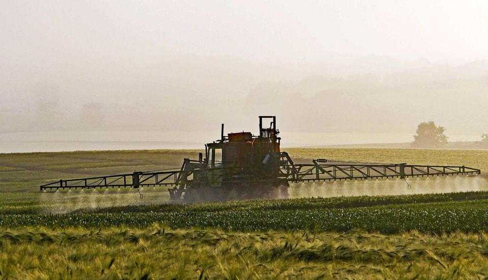 Glyphosate Crop Spray