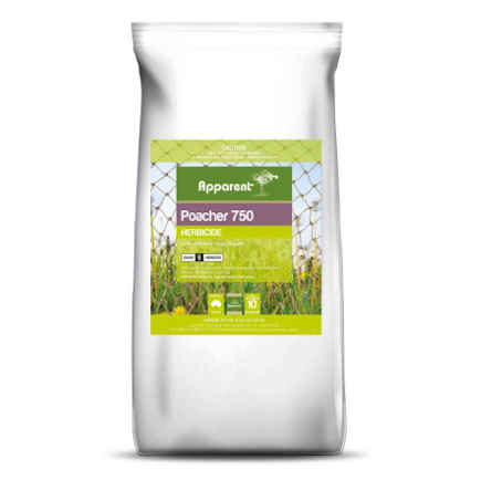 Poacher Imazapyr 750 Herbicide