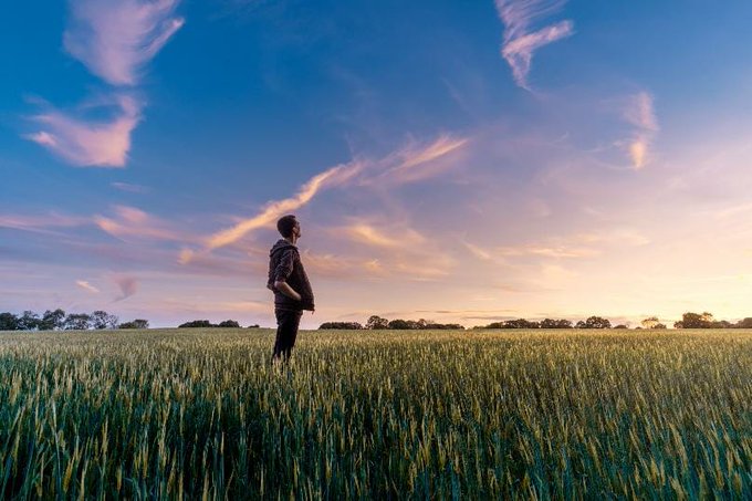 Man in Wheat Crop