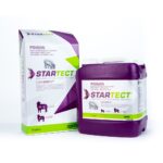 Startect Oral Drench For Sheep