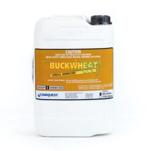 Buckwheat Cereal Picloram MCPA Herbicide 20L