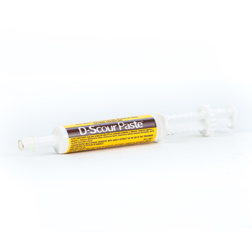 D-Scour Paste