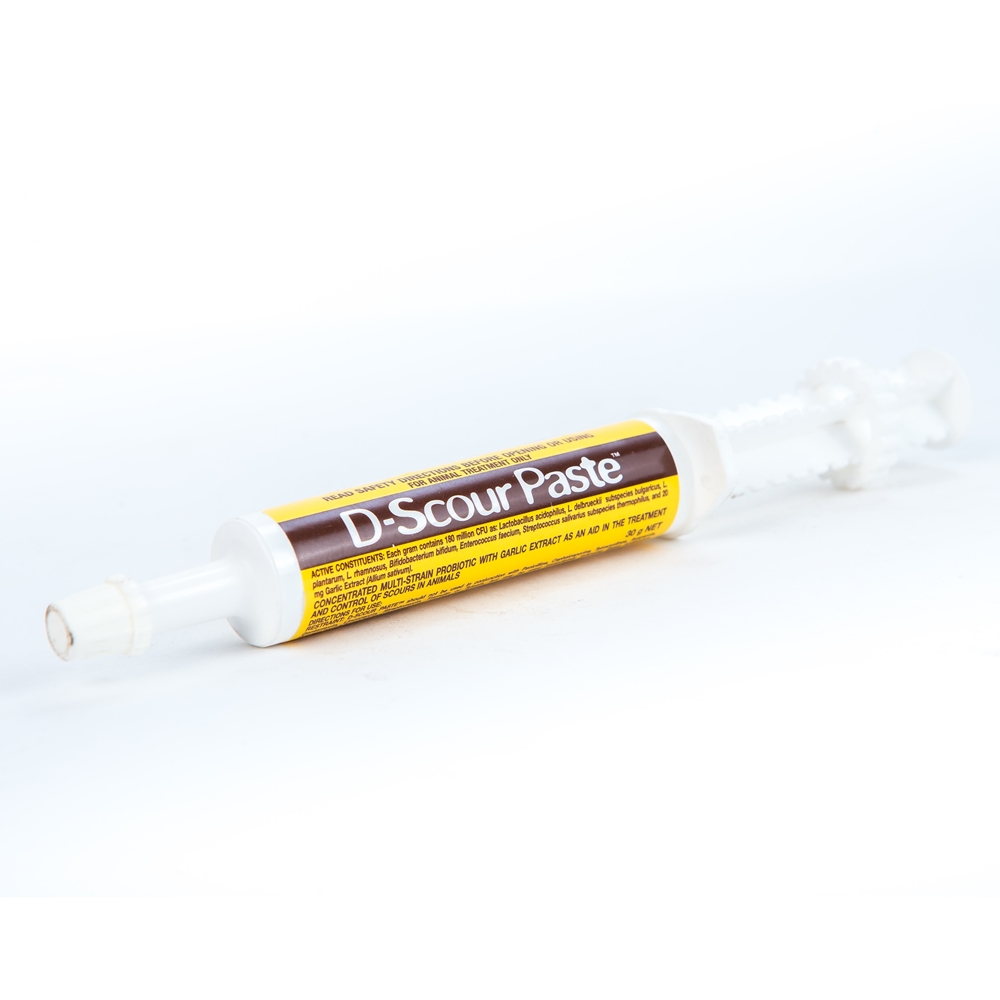 D-Scour Paste