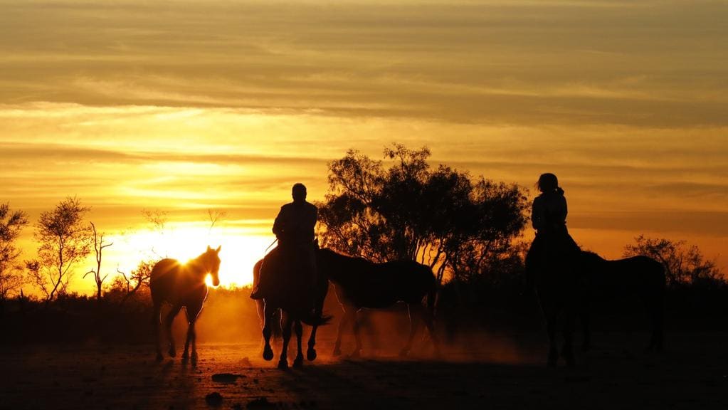 Horses at Sunset