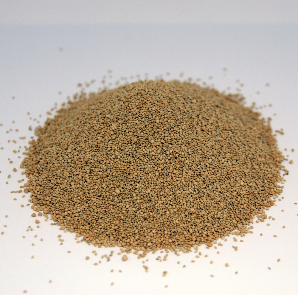 Green Couch (Bermudagrass) Seed - agriCOTE Enhanced