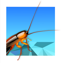 Ants