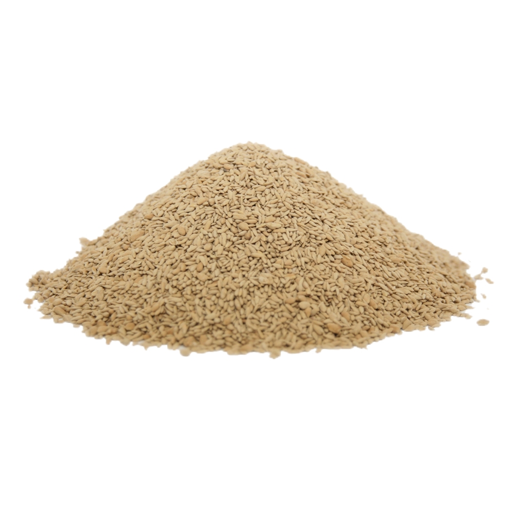 Zoysia Grass Seed (agriCOTE Enhanced)