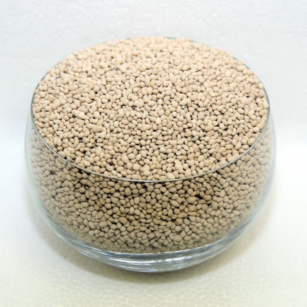 Whittet Kikuyu Seed (agriCOTE Enhanced)