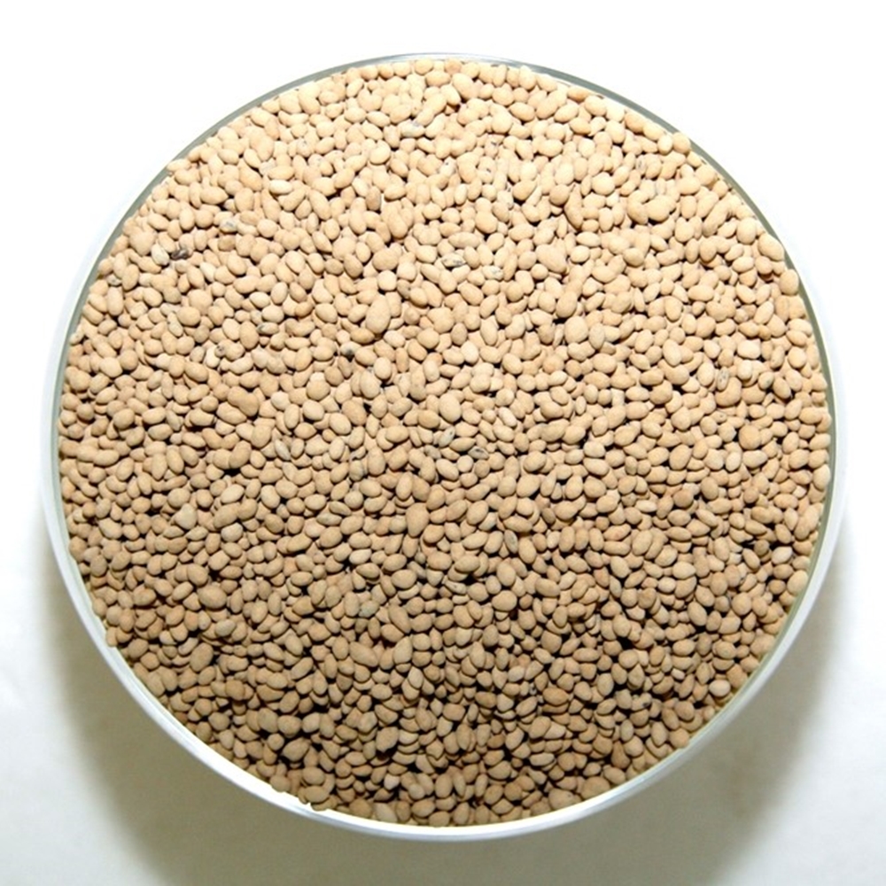 Whittet Kikuyu Seed (agriCOTE Enhanced)