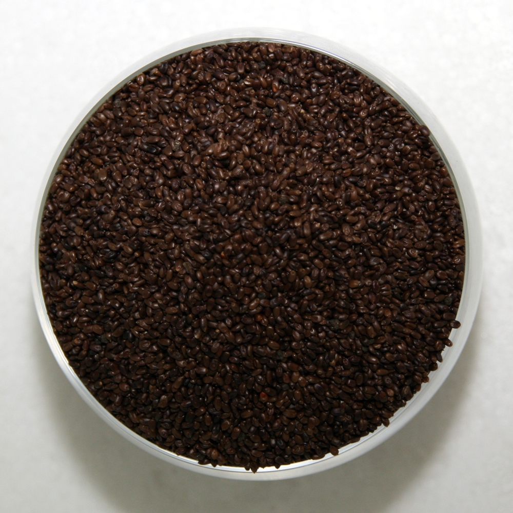 Whittet Kikuyu Seed (Bare Seed)