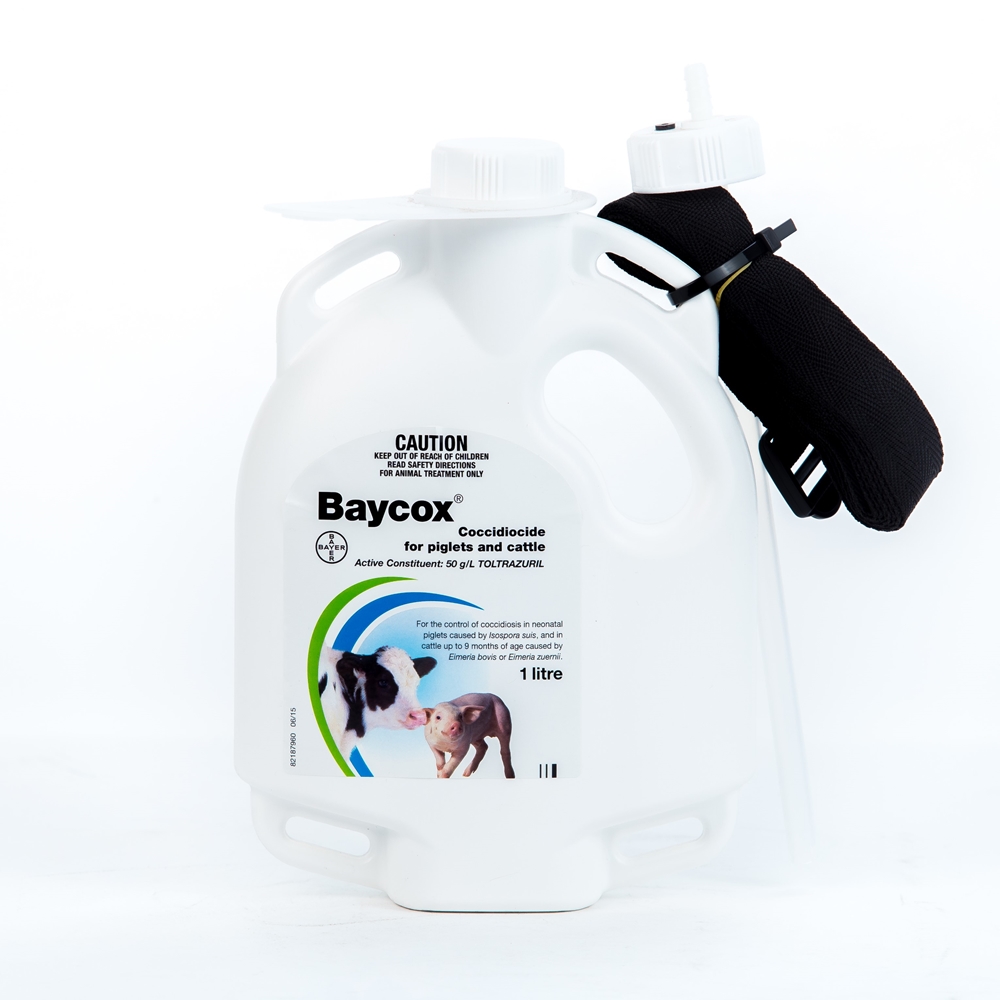 Baycox Coccidiocide For Piglets and Cattle (Toltrazuril)