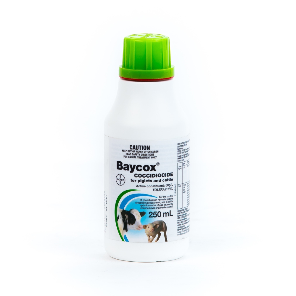 Baycox Coccidiocide For Piglets and Cattle (Toltrazuril)
