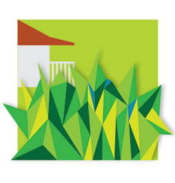 Crabgrass / Summer Grass