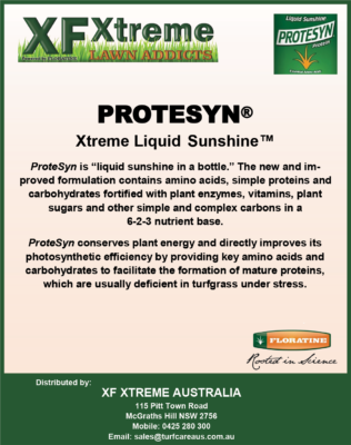 Floratine Protesyn Brief Description