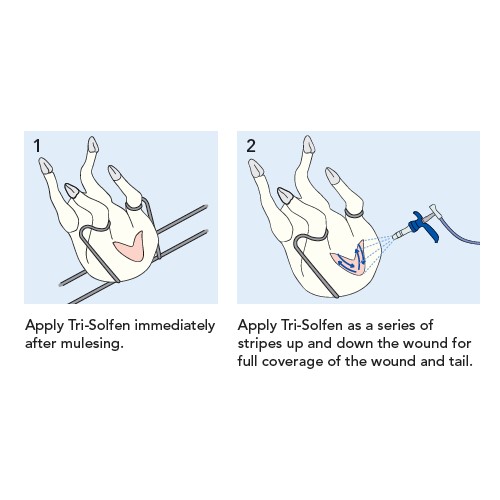 Tri-Solfen Pain Relief for Lambs Mulesing Diagram