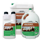 Maximo Pour-On (Moxidectin)