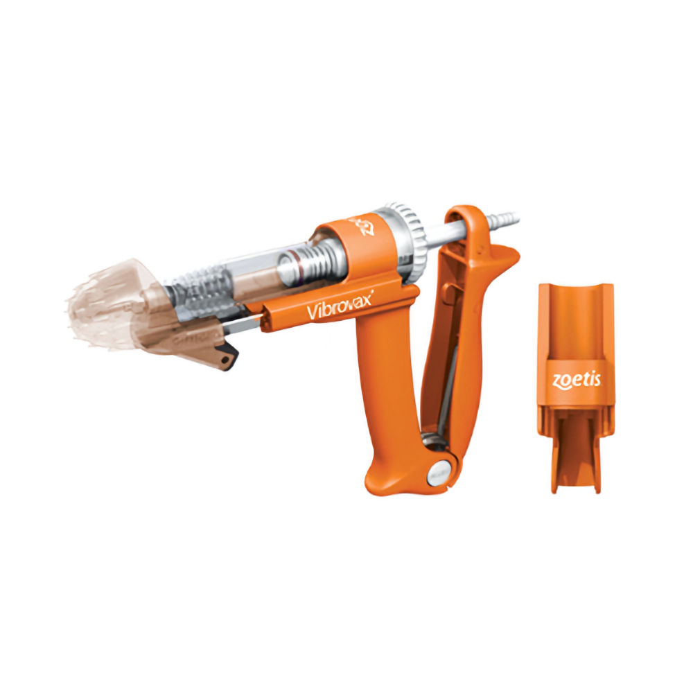 SafeShot Vaccinator for Cattle