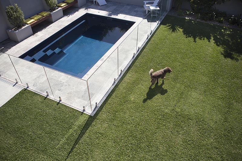 garden lawn