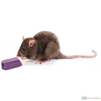 Tomcat Bromethalin Blox Rodenticide