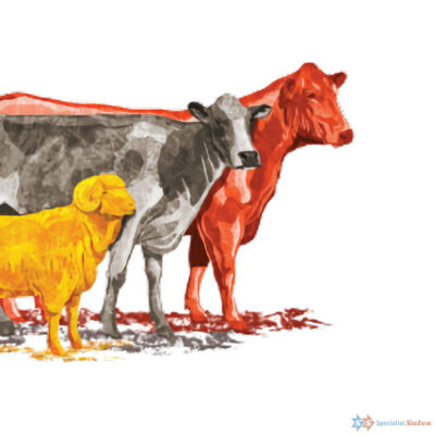 Elanco Animal Health