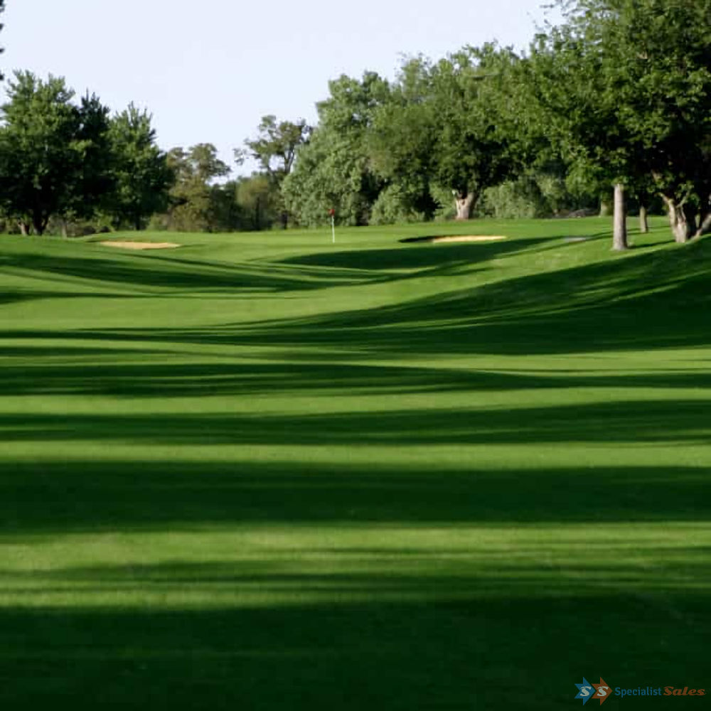 Monaco Bermudagrass (Couch) Seed