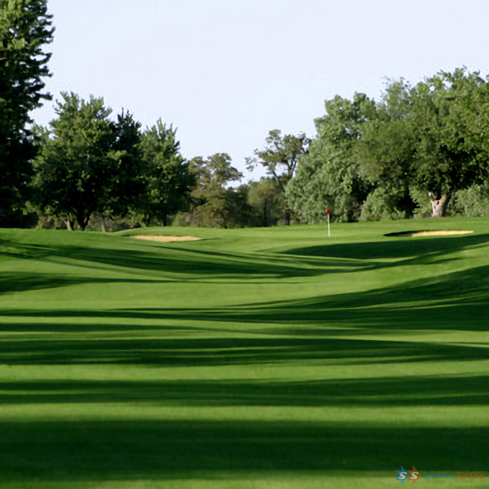 Monaco Bermudagrass (Couch) Seed