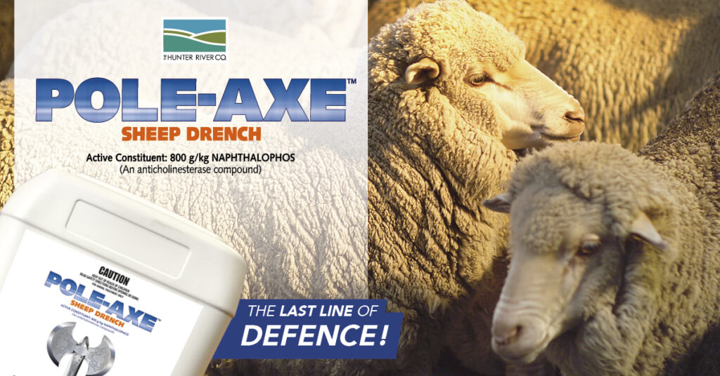 Pole-Axe Sheep Drench Slider