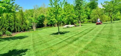 Specialist Sales Mowing Turf