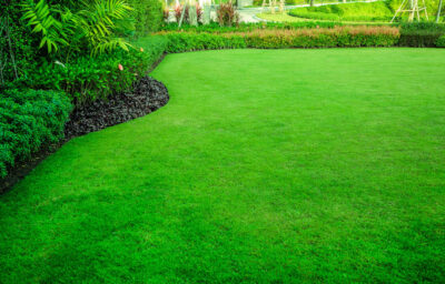 Specialist Sales Fertilised Green Turf