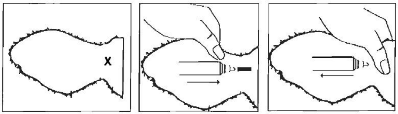 Neovemox Long Acting Injection for Cattle Application Diagram