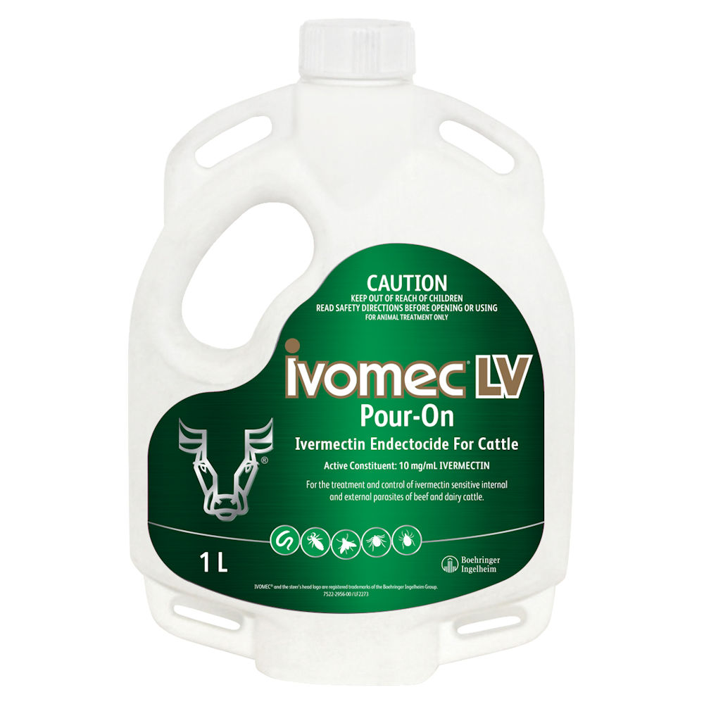 Ivomec LV Pour-On for Cattle