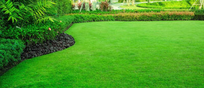 LiquiMaxx GreenMaxx Complete Fertiliser Turf