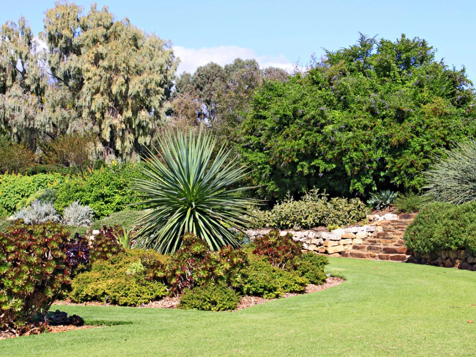 Australian urban garden image