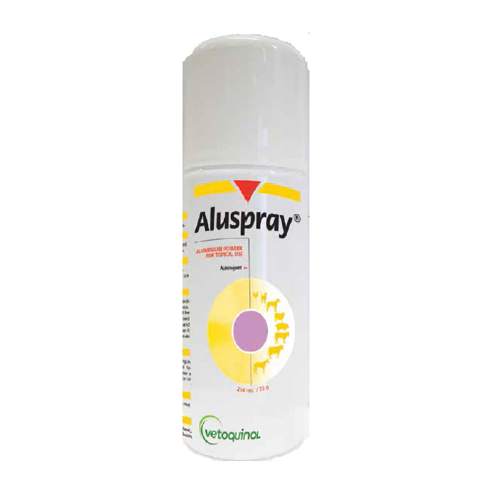 Aluspray Aluminium Spray 210mL