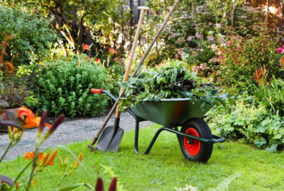 Specialist Sales Lush Garden