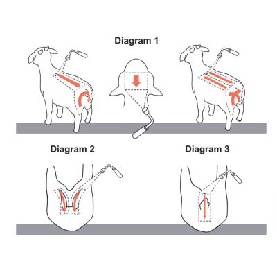 Neovek Extra Spray-On Sheep Blowfly Treatment Application Diagram