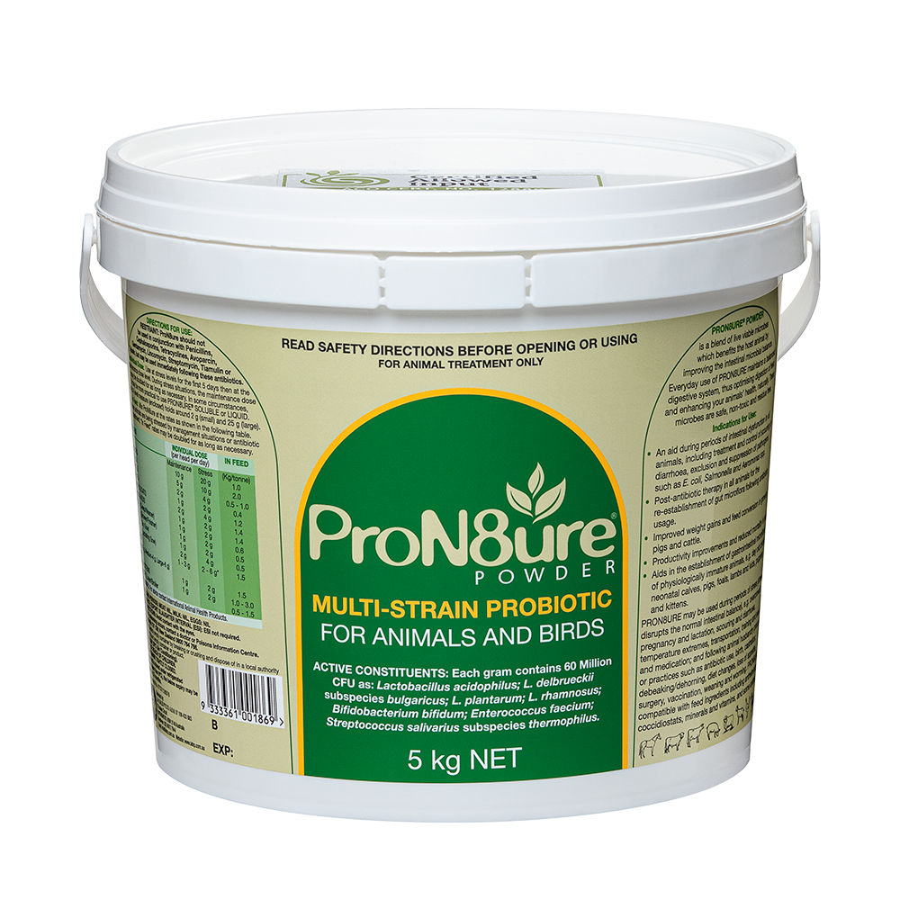 ProN8ure Powder Multi-Strain Probiotic