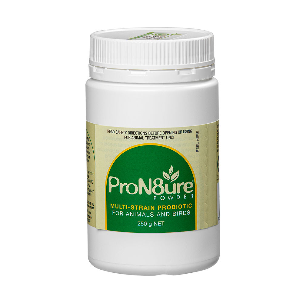 ProN8ure Powder Multi-Strain Probiotic
