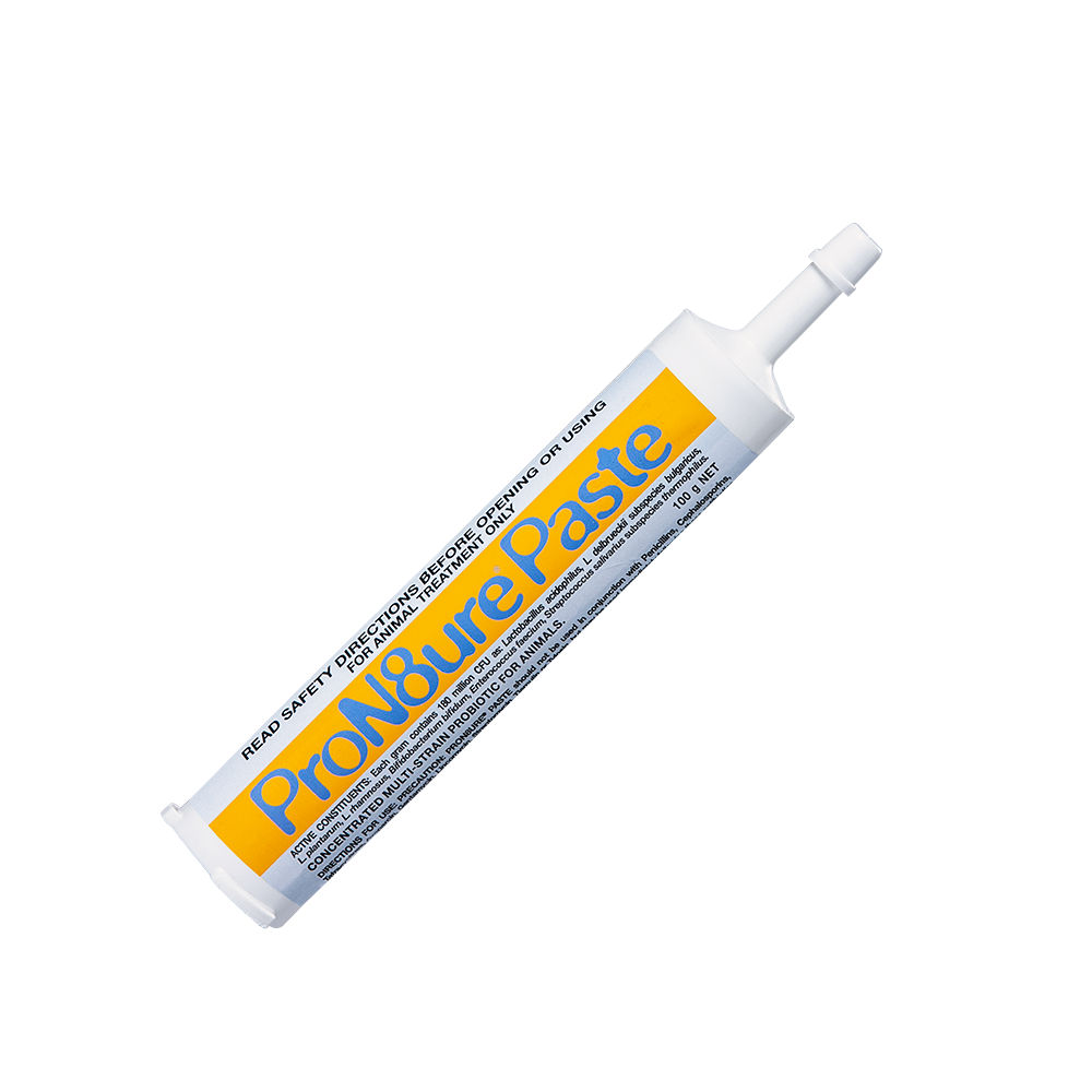 ProN8ure Paste Multi-Strain Probiotic