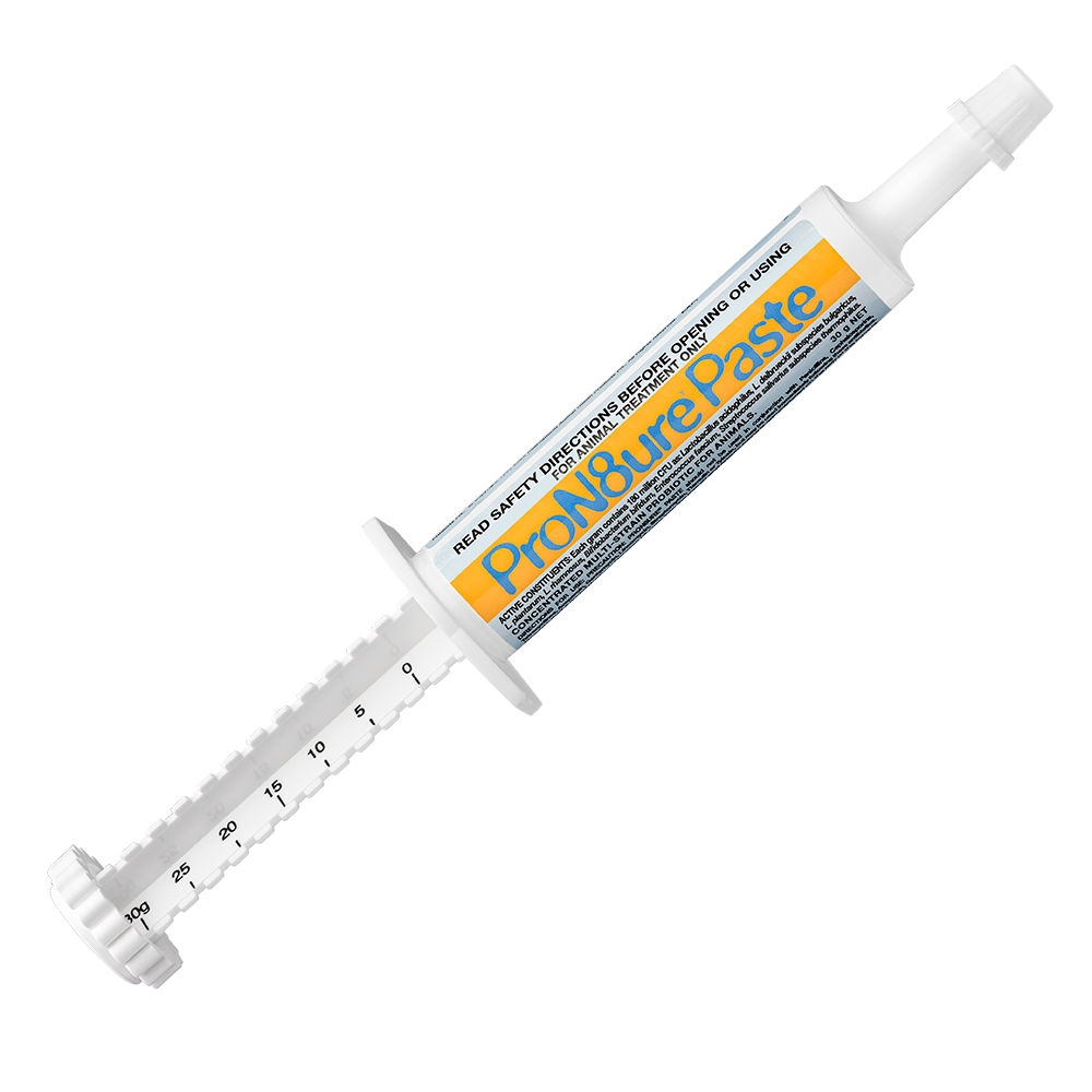 ProN8ure Paste 30gm Syringe